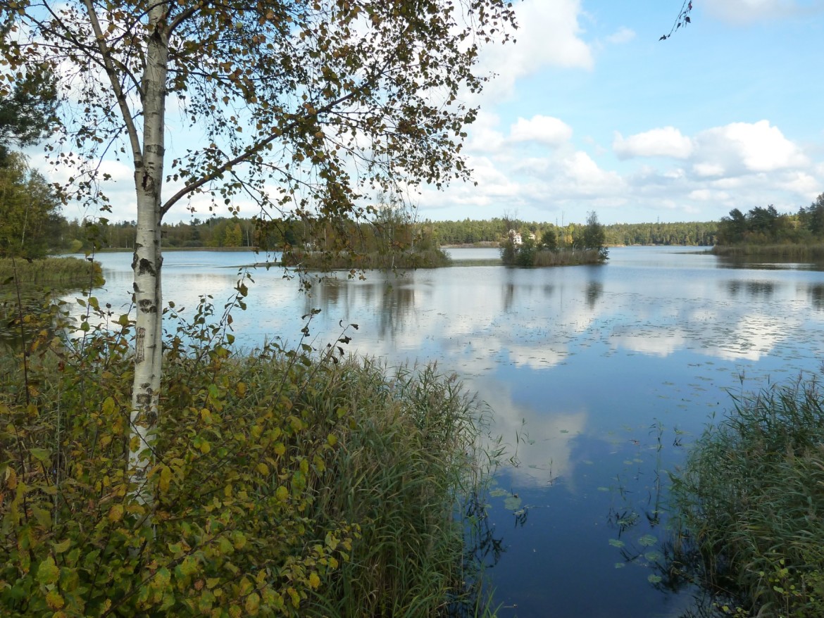 Dagvattenreningsåtgärder för sjön Trehörningen i Huddinge