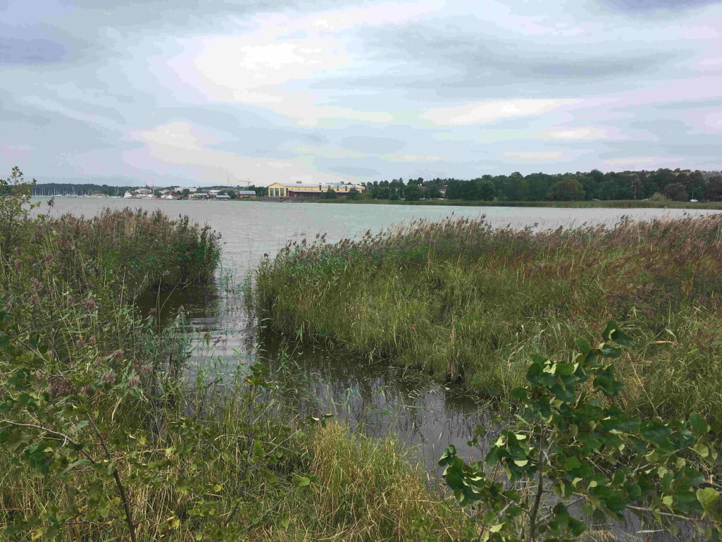 Multifunktionell våtmark ska anläggas på Åland