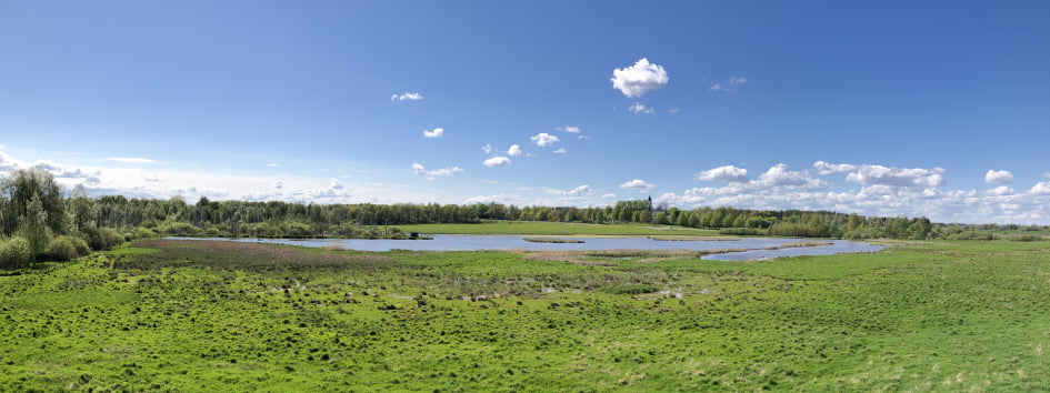 Herrebro våtmark – en populär fågellokal