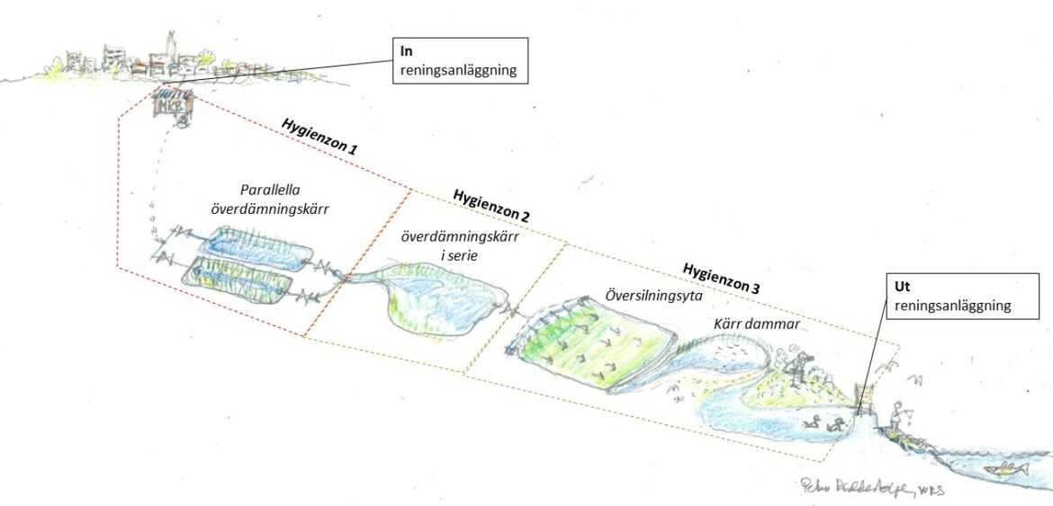 SVU-rapport om spillvattenvåtmarker