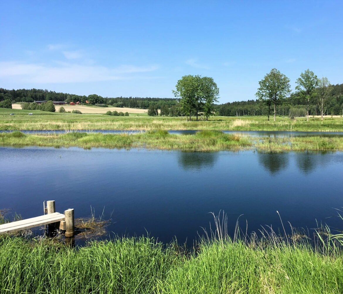 Internationella våtmarksdagen