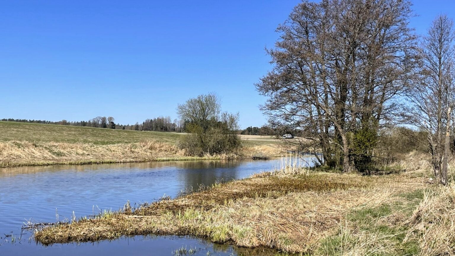 Åtgärdsplan Svartån » wrs.se