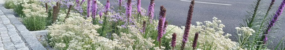 18-19 mars: Fördjupningskurs – Dagvatten och skyfall i detaljplanering